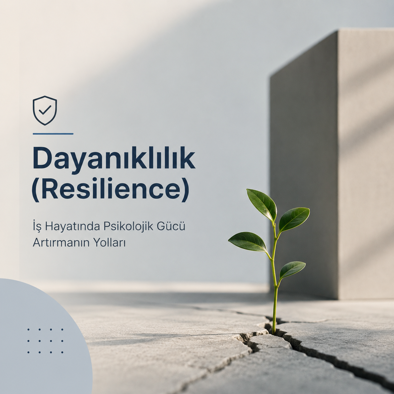 Dayanıklılık (Resilience): İş Hayatında Psikolojik Gücü Artırmanın Yolları