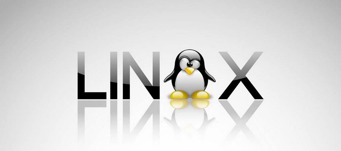 LINUX'UN BT SEKTÖRÜNDEKİ ÖNEMİ