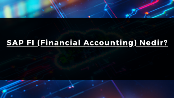 SAP FI (Financial Accounting) Nedir?