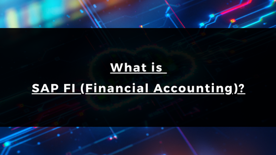 What is SAP FI (Financial Accounting)?