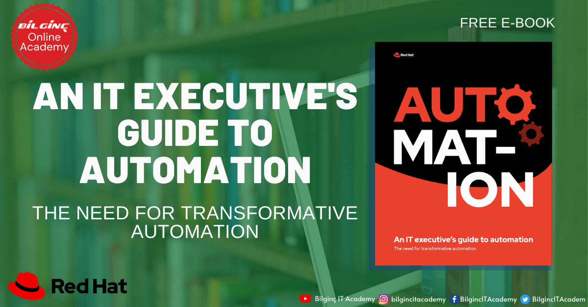 An IT Executive's Guide to Automation